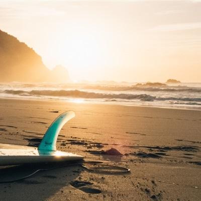 乐鱼app官方下载