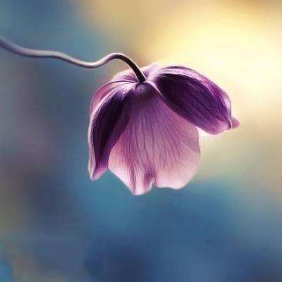 B体育登录APP下载