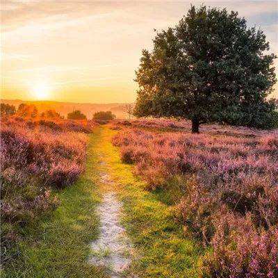 星空下载手机app下载