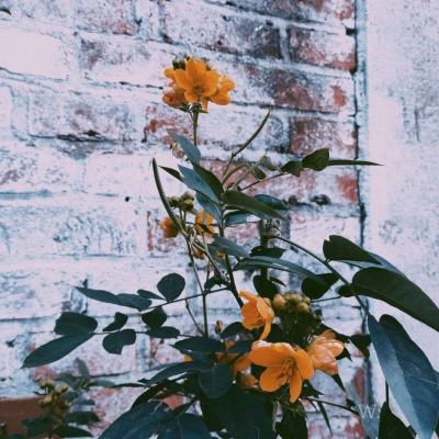 新澳门游戏网站入口手机app下载截图