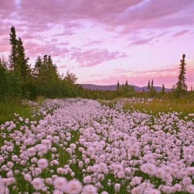 爱游戏平台下载手机版