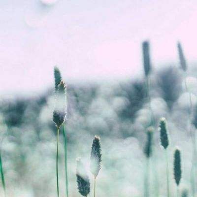 bat软件下载官方